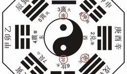 八卦爆料最新情况查询,最新情况揭秘，揭秘娱乐圈惊天秘密！